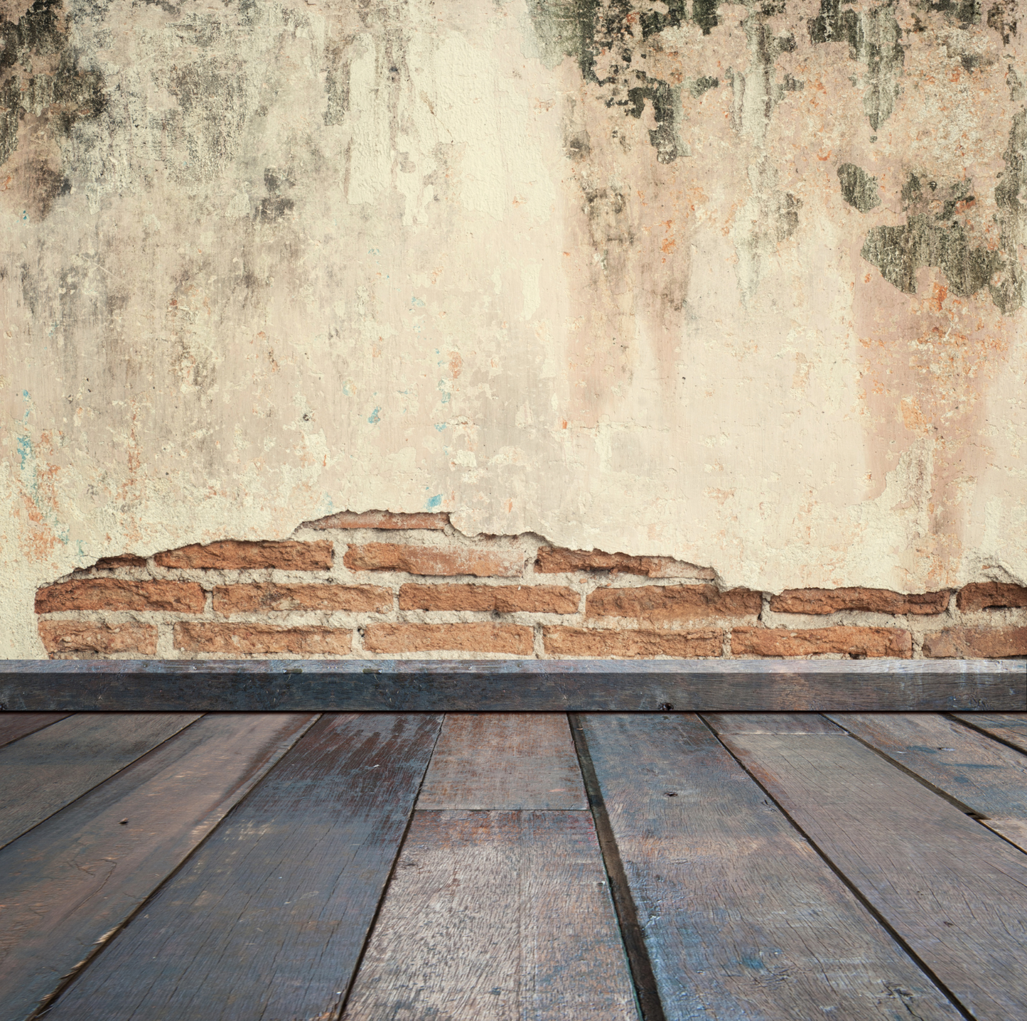 Exterior house renovations Consultation