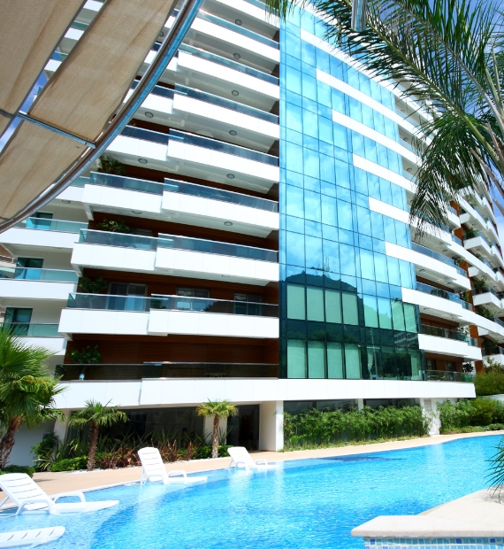 Kitchen renovation with modern features